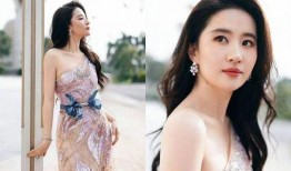 关于女星最新爆料的小说,揭秘女星背后的惊人真相